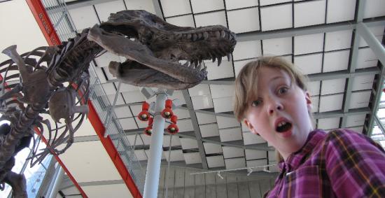 Sylvia reacts as a tyranosaurus rex skeleton looms above her
