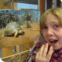 Sylvia reacts to an exceedingly cute turtle picture