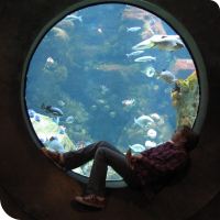 Sylvia sits silhouetted in front of a circular aquarium window at the California Academy of Sciences