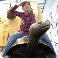 Sylvia poses on a bronze Galapagos Tortoise